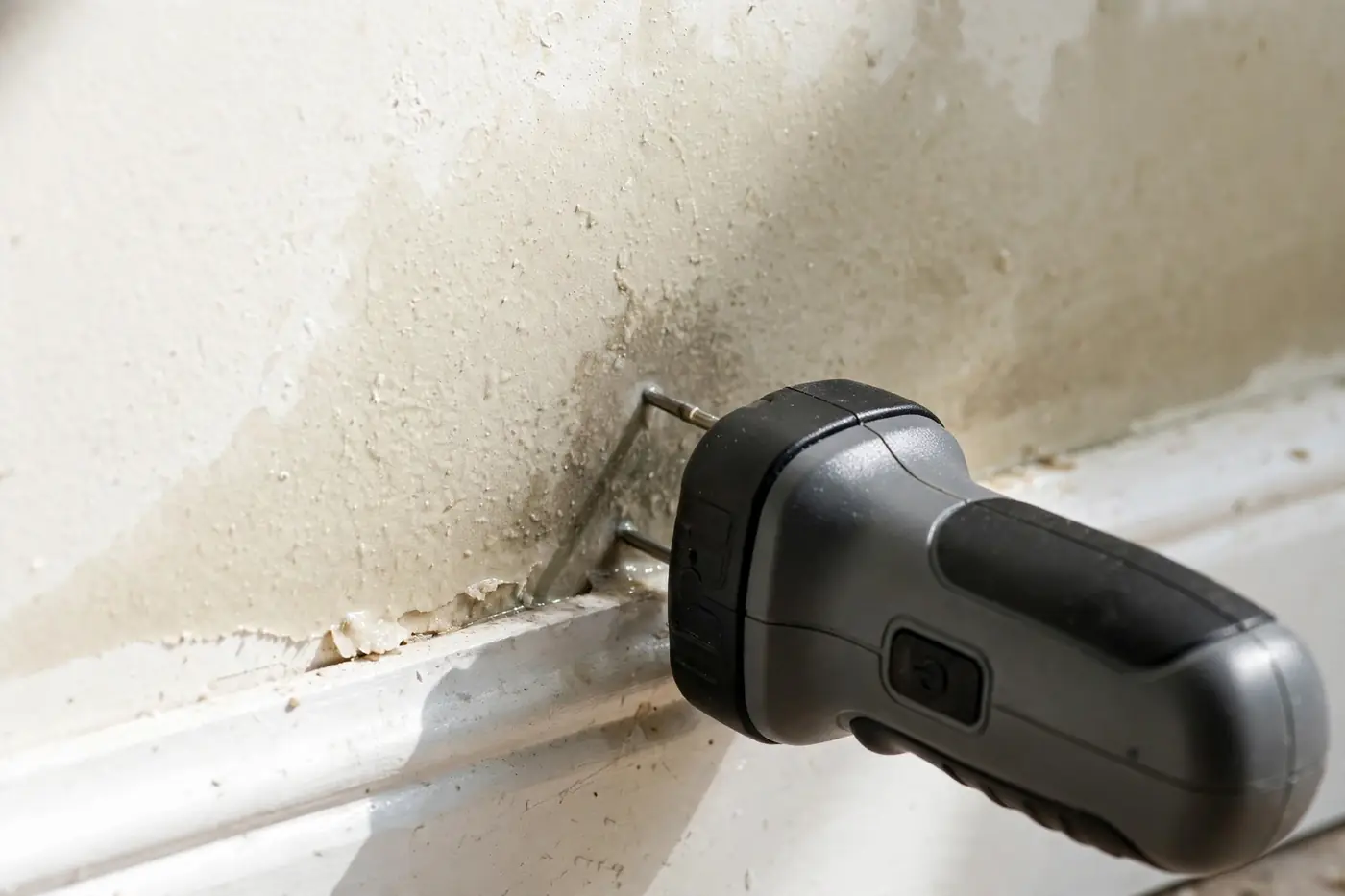 Technician checking wall moisture levels with professional moisture meter