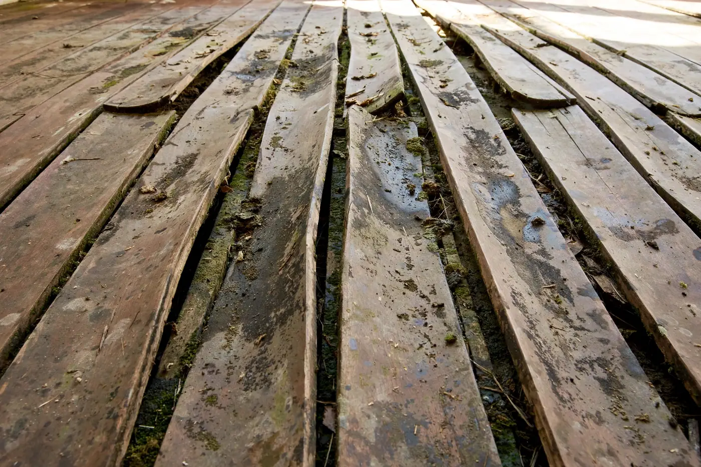 Warped wooden floorboards with gaps from moisture